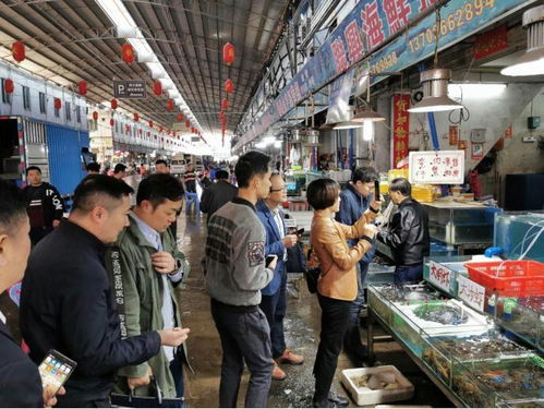 省局到南海区环球水产批发市场检查食用农产品溯源系统试点建设情况