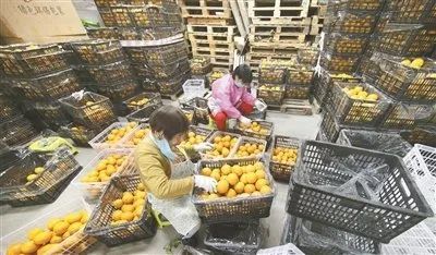 【电商趋势】农村电商十大发展趋势