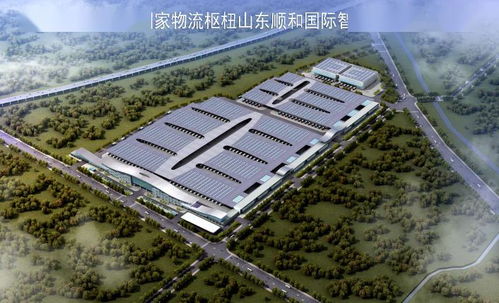 重磅 全省重大项目集中开工,16个会场项目情况如何 您想知道的都在这里