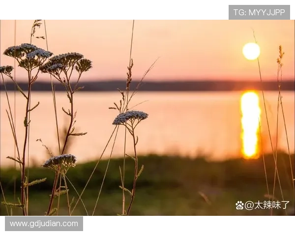 《再见最爱的人》：那些刻骨铭心的告别，终成生命中最美的风景